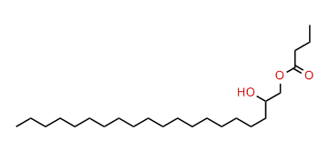 2-Hydroxyeicosyl butyrate